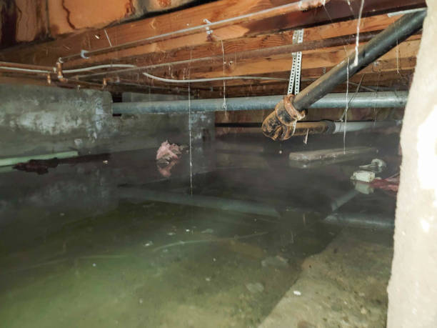 Best Residential water damage restoration  in Village Of The Branch, NY