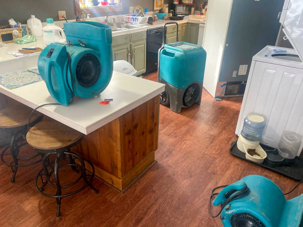 Best Commercial water damage restoration  in Village Of The Branch, NY