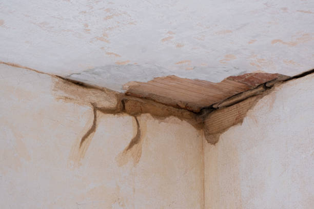 Best Local water damage restoration  in Village Of The Branch, NY