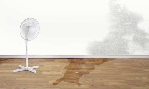 Best Water damage restoration near me  in Village Of The Branch, NY