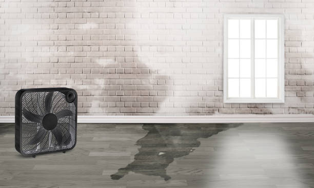 Best Flood restoration services  in Village Of The Branch, NY