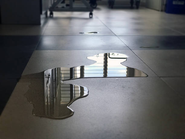 Best Water damage restoration services  in Village Of The Branch, NY