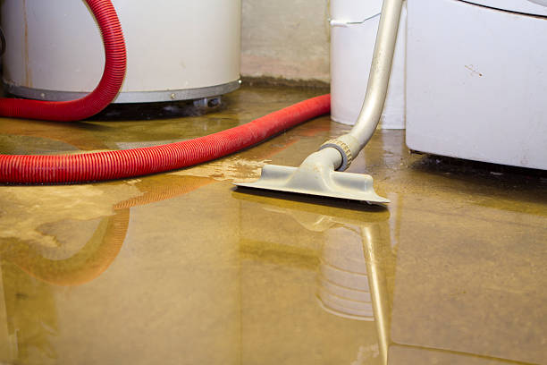 Best Flooded house restoration  in Village Of The Branch, NY