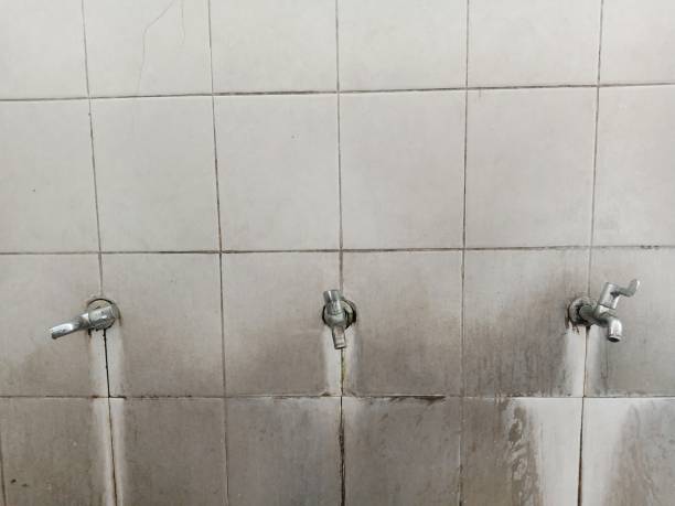 Best Basement water damage restoration  in Village Of The Branch, NY