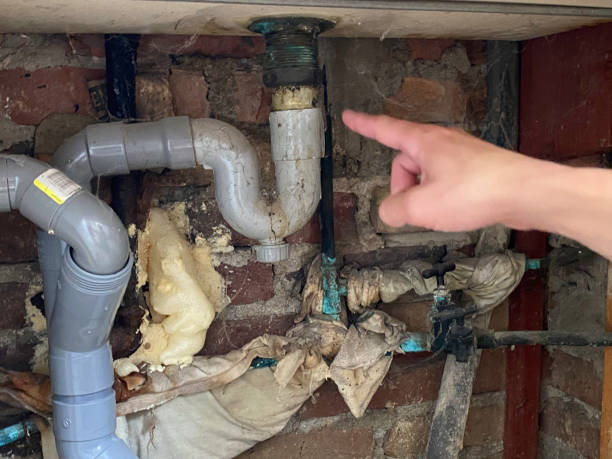 Best Carpet water damage restoration  in Village Of The Branch, NY