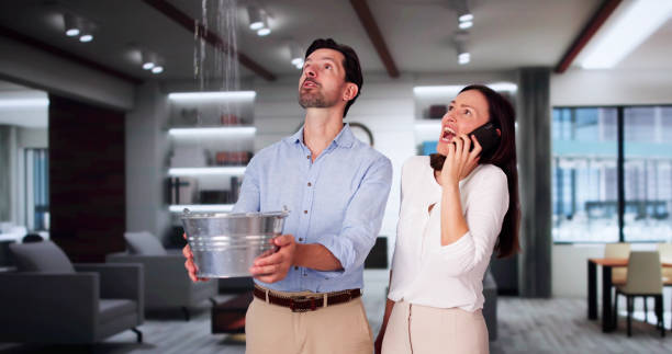 Best Professional water damage repair  in Village Of The Branch, NY