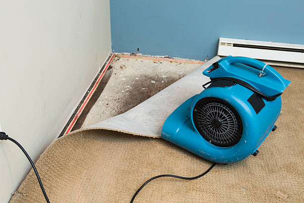 Best Emergency water damage restoration  in Village Of The Branch, NY